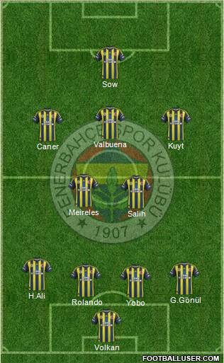Fenerbahçe SK Formation 2012