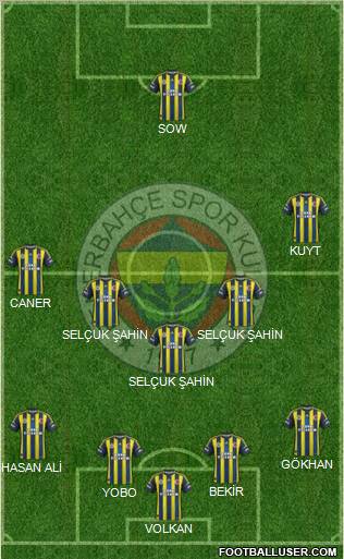 Fenerbahçe SK Formation 2012