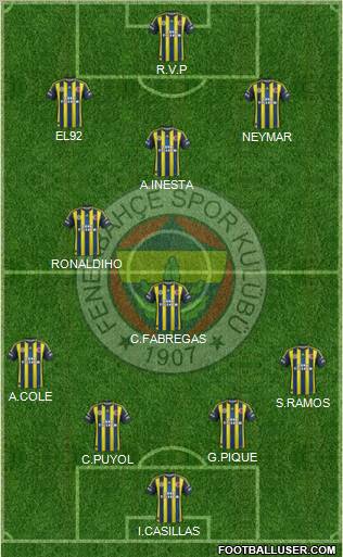 Fenerbahçe SK Formation 2012
