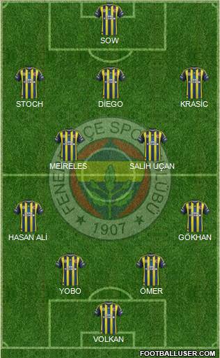 Fenerbahçe SK Formation 2012