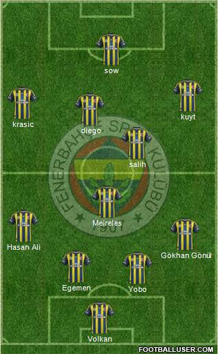 Fenerbahçe SK Formation 2012