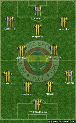 Fenerbahçe SK Formation 2012