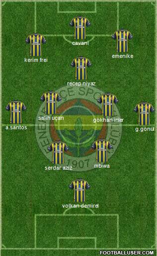 Fenerbahçe SK Formation 2012
