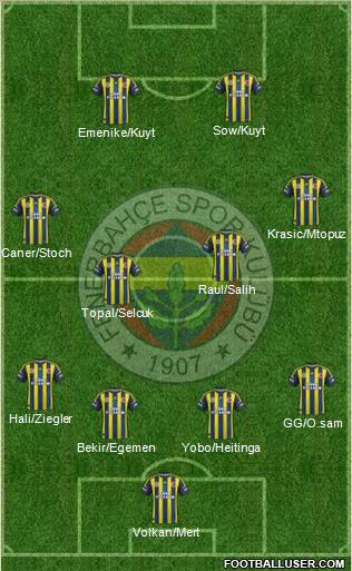Fenerbahçe SK Formation 2012