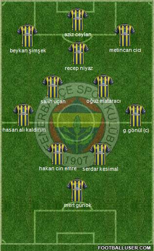Fenerbahçe SK Formation 2012