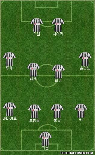 Newcastle United Formation 2013