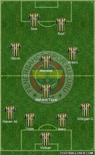 Fenerbahçe SK Formation 2013