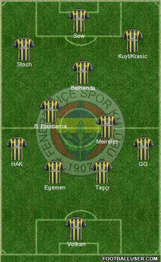 Fenerbahçe SK Formation 2013