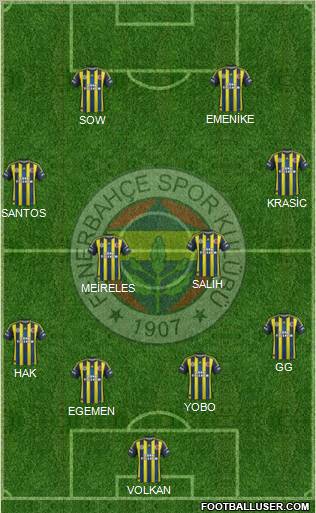 Fenerbahçe SK Formation 2013