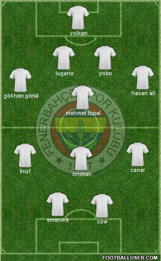 Fenerbahçe SK Formation 2013
