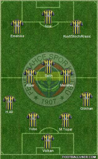 Fenerbahçe SK Formation 2013