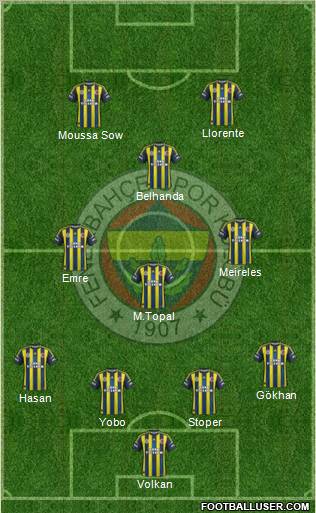 Fenerbahçe SK Formation 2013