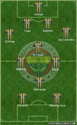 Fenerbahçe SK Formation 2013