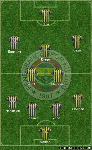 Fenerbahçe SK Formation 2013
