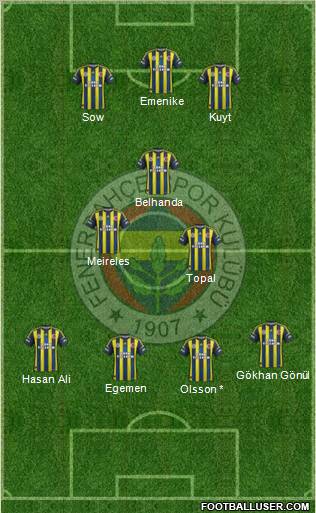 Fenerbahçe SK Formation 2013