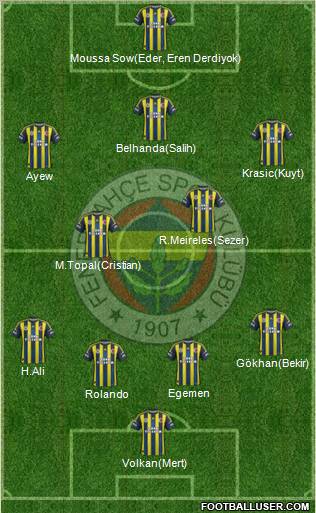 Fenerbahçe SK Formation 2013
