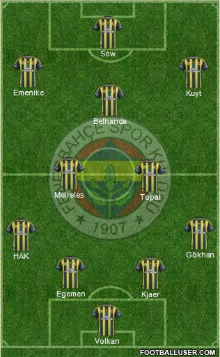 Fenerbahçe SK Formation 2013