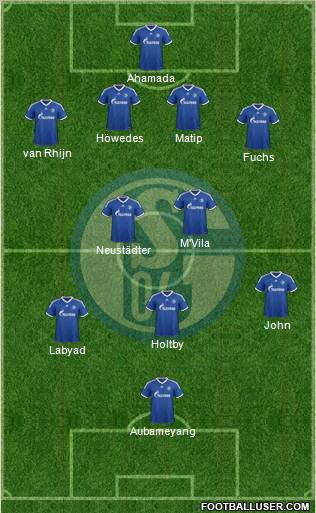 FC Schalke 04 Formation 2013