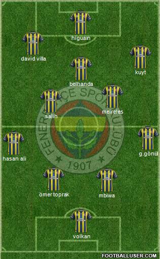 Fenerbahçe SK Formation 2013