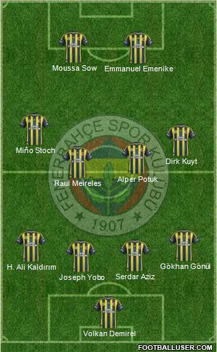 Fenerbahçe SK Formation 2013