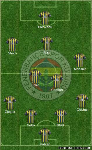 Fenerbahçe SK Formation 2013