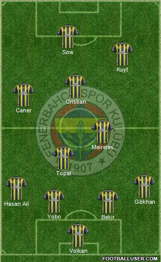 Fenerbahçe SK Formation 2013