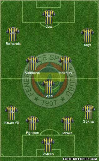 Fenerbahçe SK Formation 2013