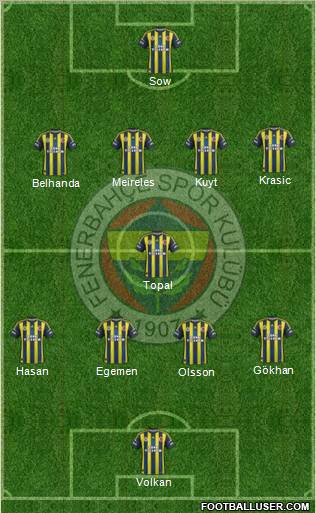 Fenerbahçe SK Formation 2013