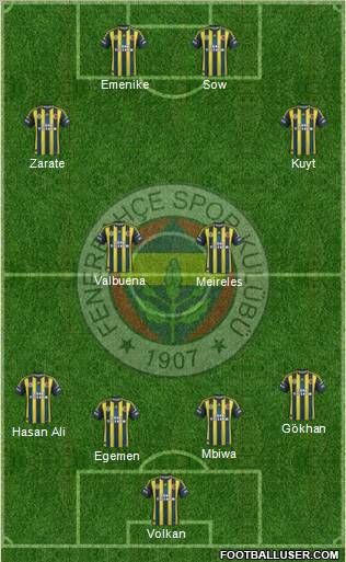 Fenerbahçe SK Formation 2013