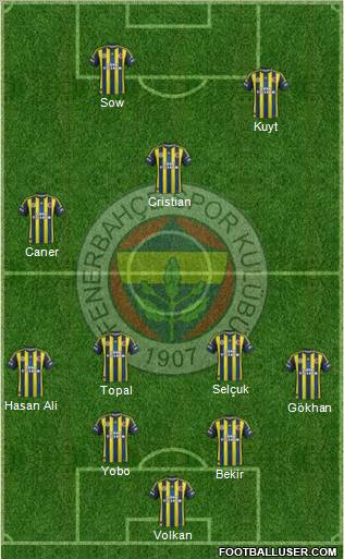 Fenerbahçe SK Formation 2013