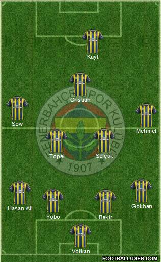 Fenerbahçe SK Formation 2013