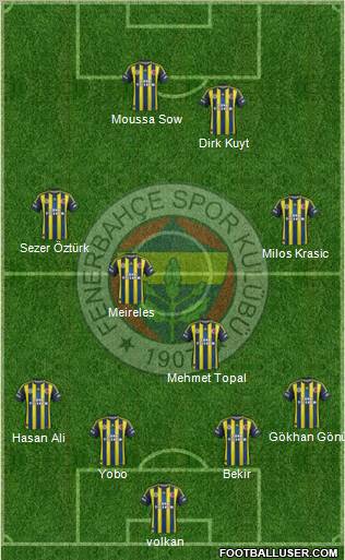 Fenerbahçe SK Formation 2013