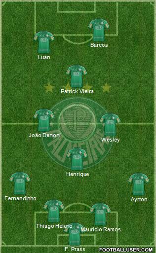 SE Palmeiras Formation 2013