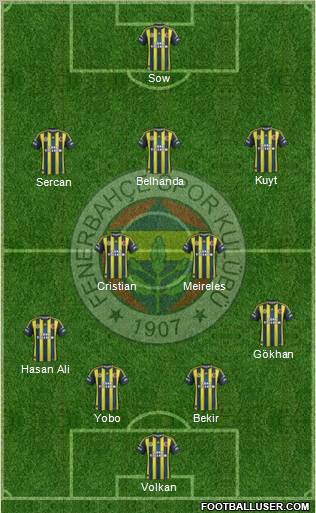 Fenerbahçe SK Formation 2013