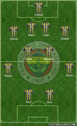Fenerbahçe SK Formation 2013
