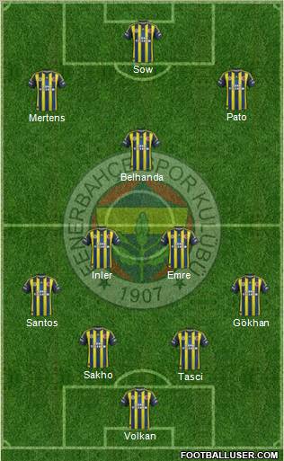 Fenerbahçe SK Formation 2013