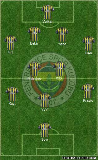Fenerbahçe SK Formation 2013