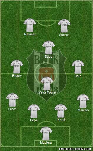 Besiktas JK Formation 2013