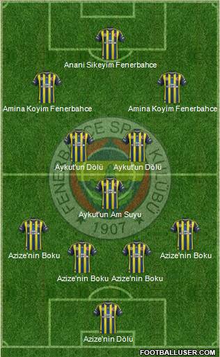 Fenerbahçe SK Formation 2013