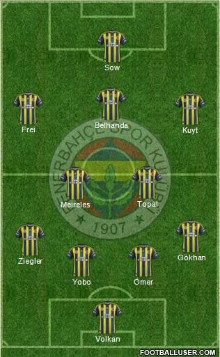 Fenerbahçe SK Formation 2013
