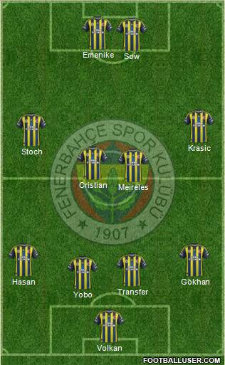 Fenerbahçe SK Formation 2013