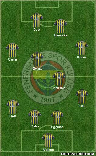 Fenerbahçe SK Formation 2013