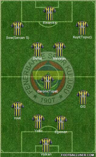 Fenerbahçe SK Formation 2013