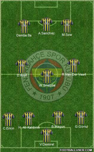 Fenerbahçe SK Formation 2013