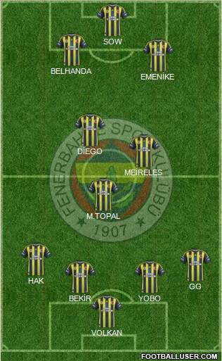 Fenerbahçe SK Formation 2013