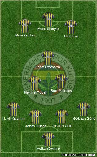 Fenerbahçe SK Formation 2013