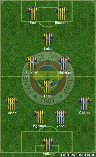 Fenerbahçe SK Formation 2013
