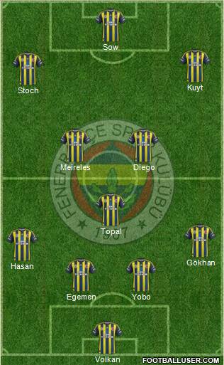 Fenerbahçe SK Formation 2013