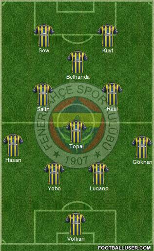 Fenerbahçe SK Formation 2013