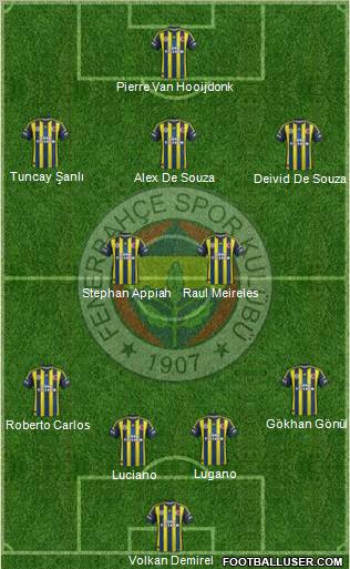 Fenerbahçe SK Formation 2013